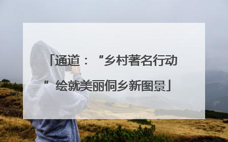 通道：“乡村著名行动”绘就美丽侗乡新图景